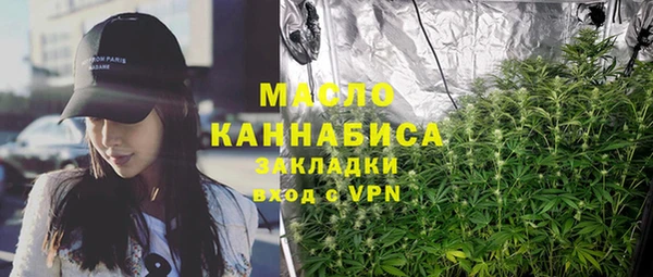 гидра Абаза