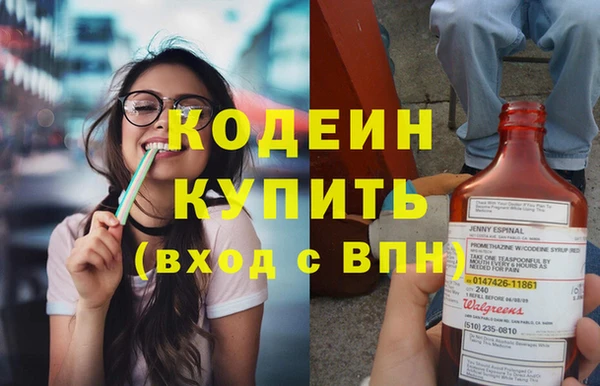 гидра Абаза