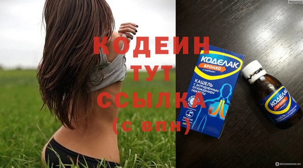 стаф Данков