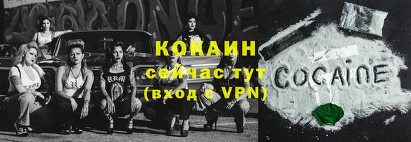 молекула духа Саяногорск