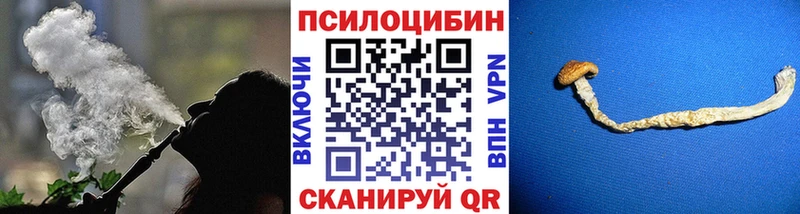 Псилоцибиновые грибы MAGIC MUSHROOMS  купить закладку  Лакинск 